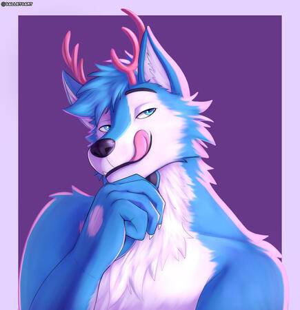 Full color 50$