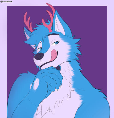 Flat color 30$
